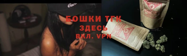 тгк Беломорск