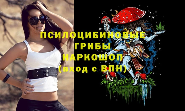 твердый Белокуриха