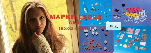 тгк Беломорск