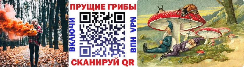 omg ССЫЛКА  Суджа  Псилоцибиновые грибы GOLDEN TEACHER 